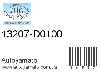 13207-D0100 (TONG HONG)